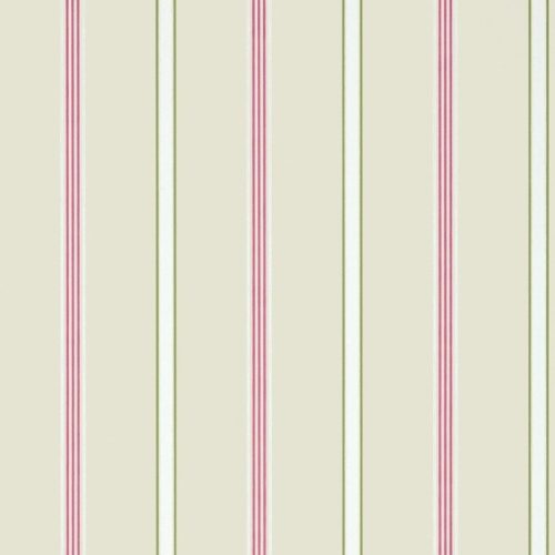 Dawson Stripe Pink-Green AT6141
